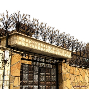 حفاظ لیلیوم